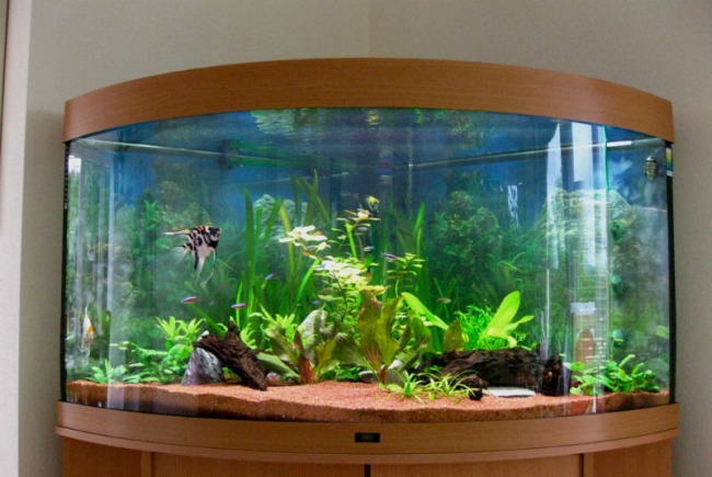 Гнутое стекло для аквариумов